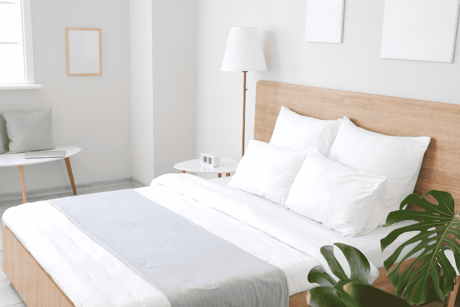 how to check for bed bugs in a hotel