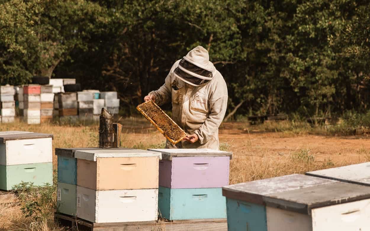 local beekeepers