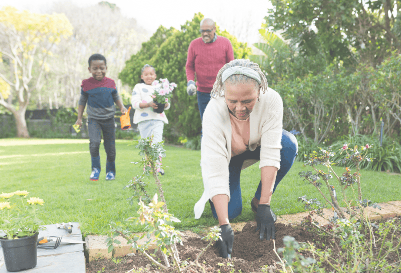 Spring Into Action: Eco-Friendly Pest Control Tips for Naples Homes