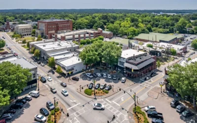 Spring into Action: Protecting Your Carrollton Home from Warm-Weather Pests
