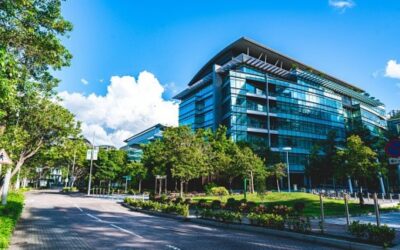 The Impact of Pests on Your Business: How Effective Pest Control Saves Money