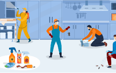 Essential Questions to Ask Before Hiring Commercial Exterminators