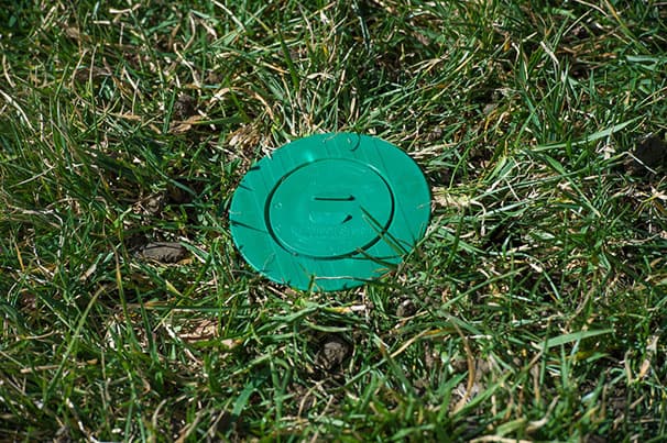Why Green Circles Are Appearing Around Your Home and What to Do About Them