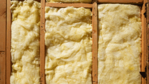 common attic pests