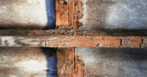 commercial termite control