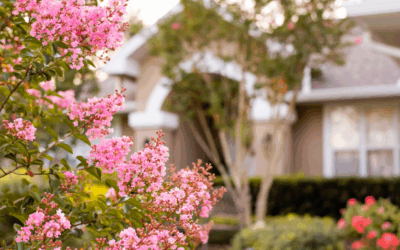 Sustainable Mosquito Management in Miami