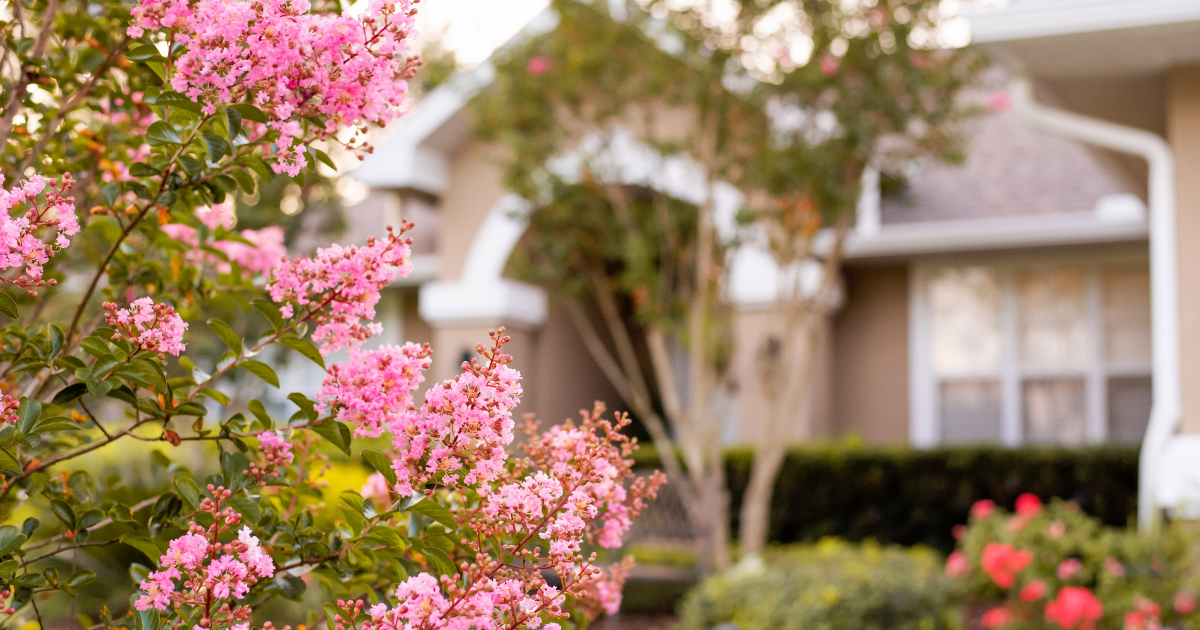 sustainable mosquito management