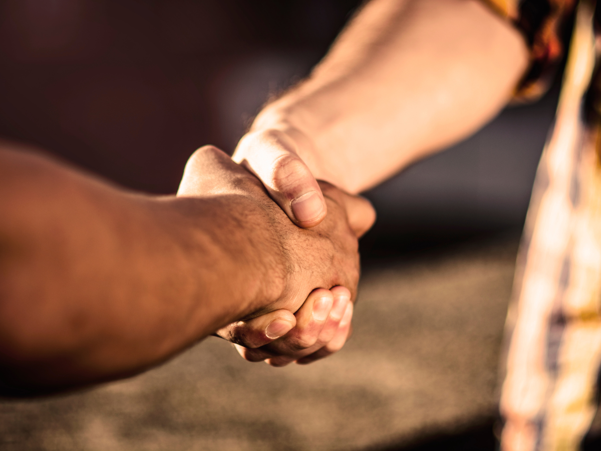 NWST Hiring Professional licensed pest control