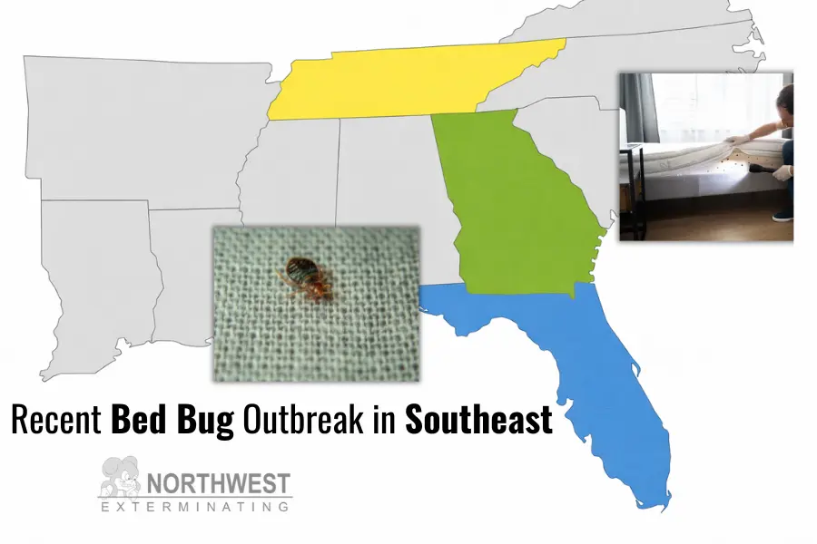 Bed Bug Outbreak in the Southeast