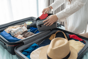 bed bugs spreading through luggage during travel