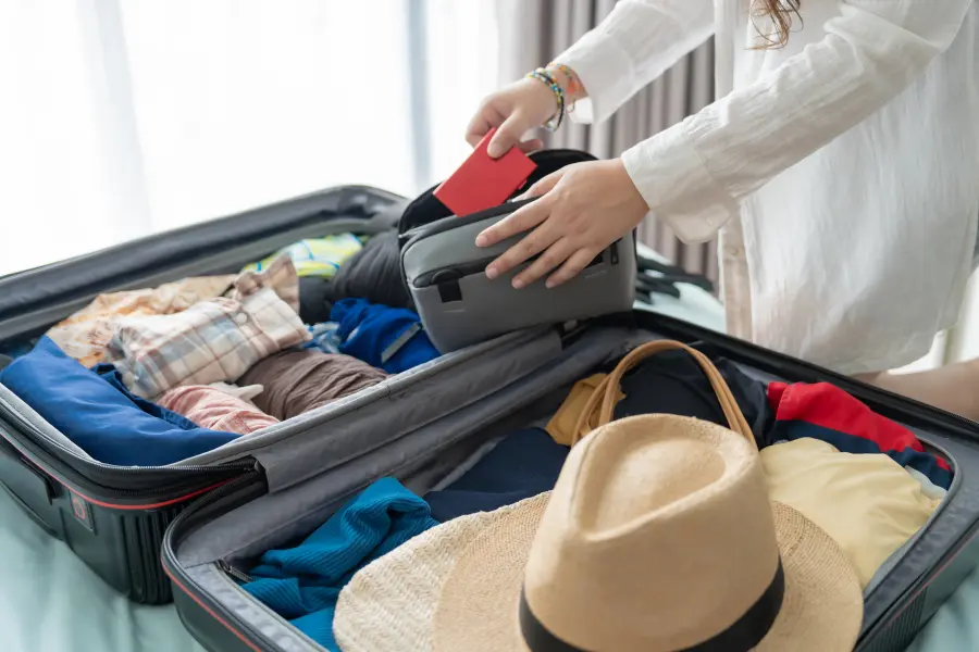 bed bugs spreading through luggage during travel