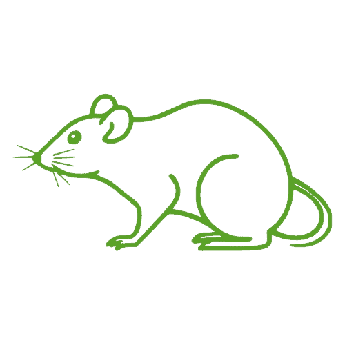warehouse logistics pest control