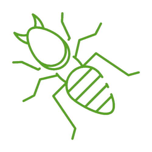 commercial termite control