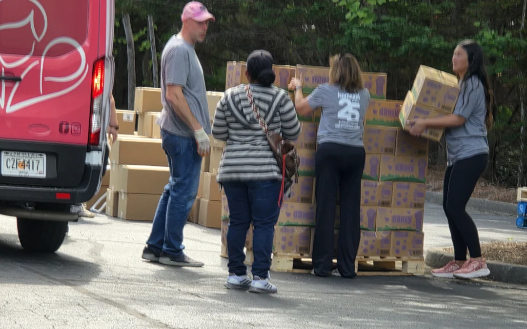 Northwest Exterminating and HomeAid Georgia Distribute Thousands of Essential Baby Items to Families in Need