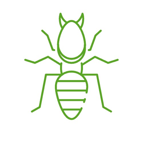 commercial termite control
