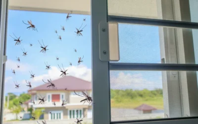 Why Are There So Many Mosquitoes in My House? Causes and How to Fix It
