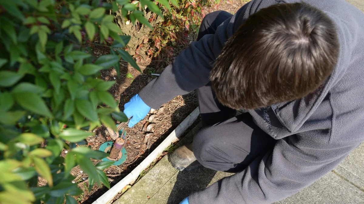 Northwest technician opening a green Sentricon termite bait station during annual service